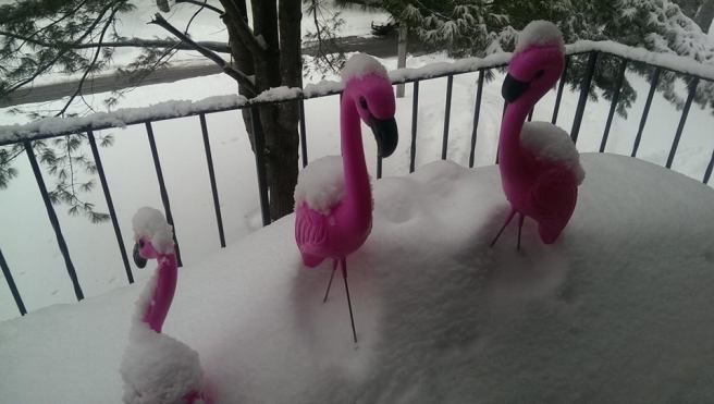 10923207_10152797109563143_6536709114114551622_n