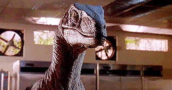 raptorgif